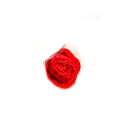 Rosenstring Rosa con Perizoma Rosso misura S/L